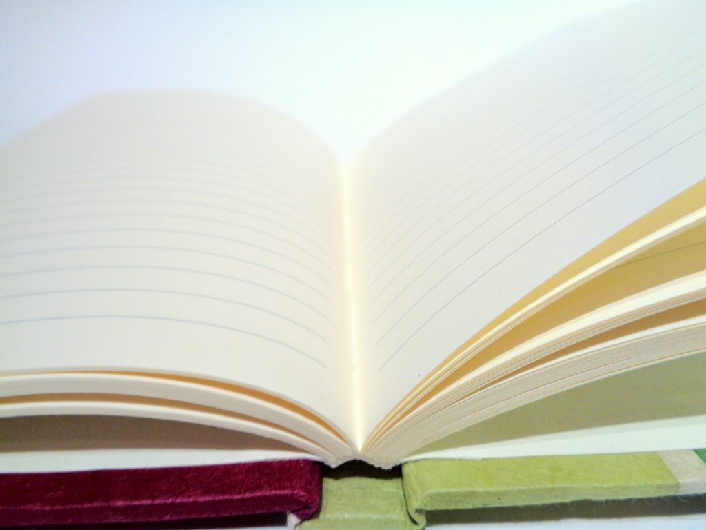 Carnet de poche - 10 cm X 15 cm - Bordeaux/Vert - 128 pages