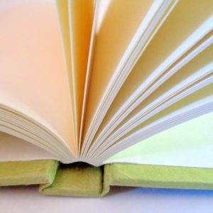 Carnet de poche - 10 cm x 15 cm - Bordeaux/Vert - 144  pages – Image 4