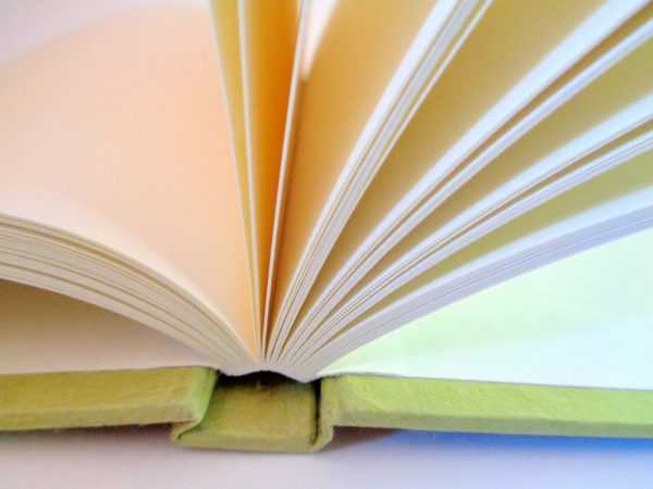 Carnet de poche - 10 cm x 15 cm - Bordeaux/Vert - 144 pages