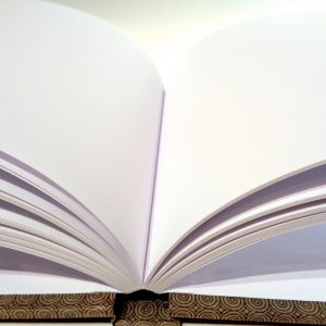 Carnet A5 - 14,5 cm X 21 cm - "Rondovert" - 160 pages – Image 2