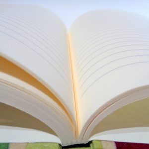 Carnet A5 - 14.5 cm x 21 cm - Bordeaux/Vert - 144 pages – Image 2