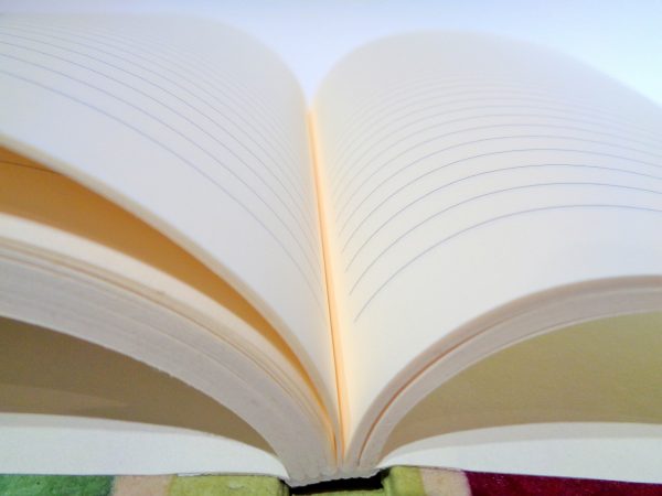 Carnet A5 - 14.5 cm x 21 cm - Bordeaux/Vert - 144 pages