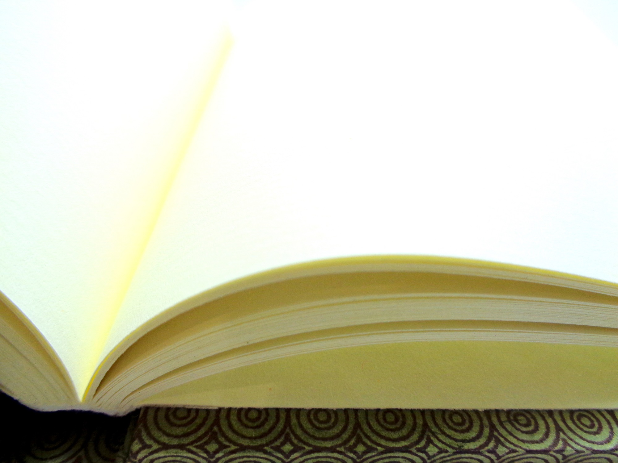 Carnet de poche - 10 cm x 15 cm - "Rondovert" - 144  pages – Image 3