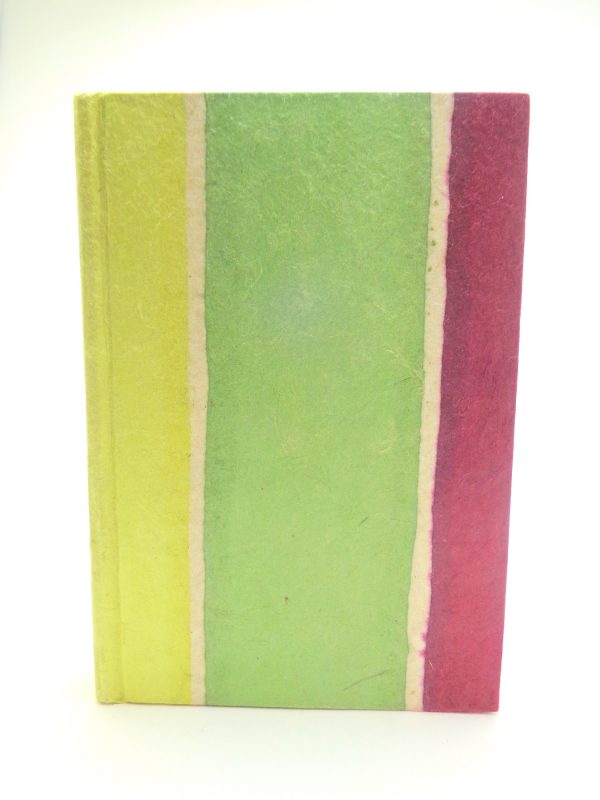 Carnet aux feuilles multi couleurs - Vert/Bordeaux - 256 pages