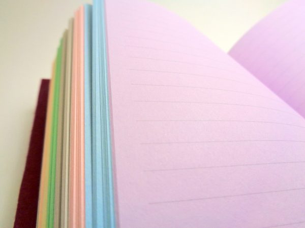 Carnet aux feuilles multi couleurs - "Rouge Nœuds" - 256 pages