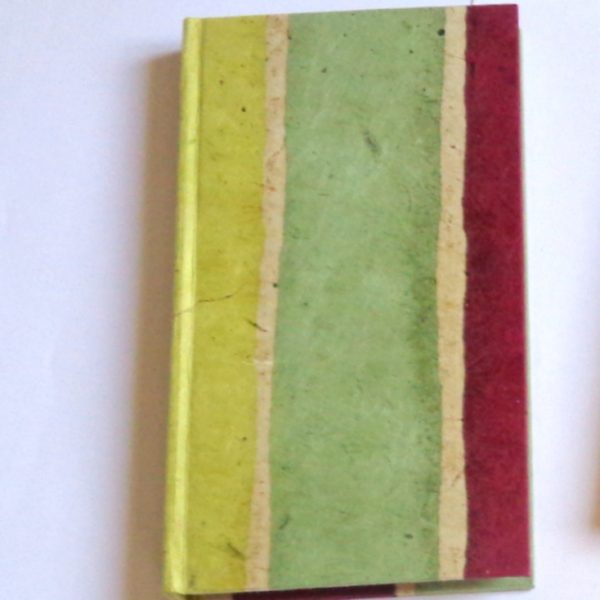 Agenda de poche 2018 - 9,5 cm X 17,5 cm - Vert rayures - 128 pages