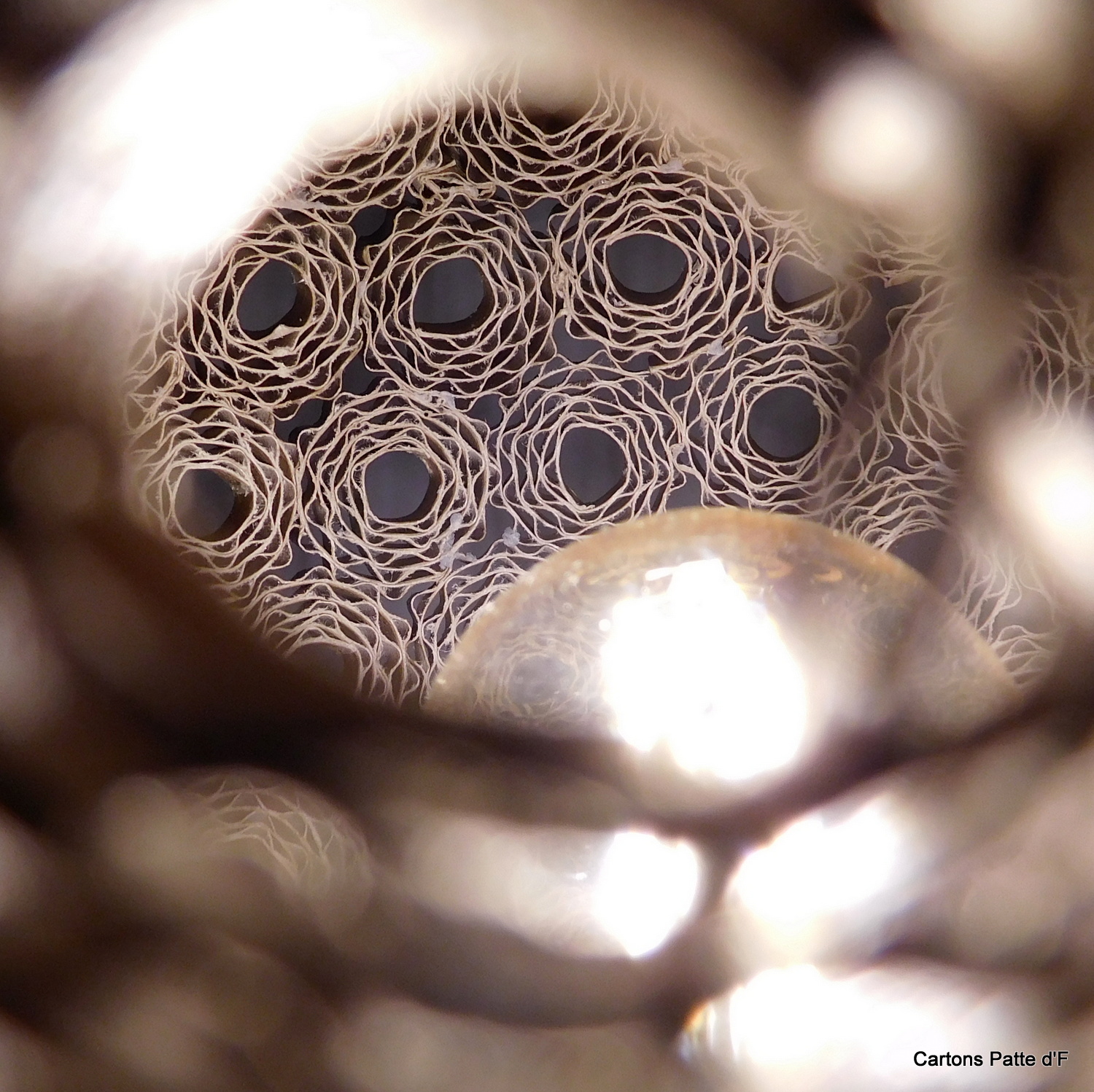 Lampe à poser Sphérique en dentelle de carton – Image 10